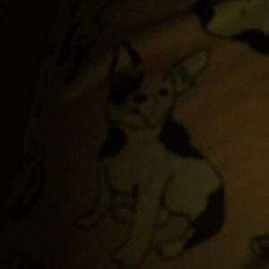 Meet your Posher, Patti